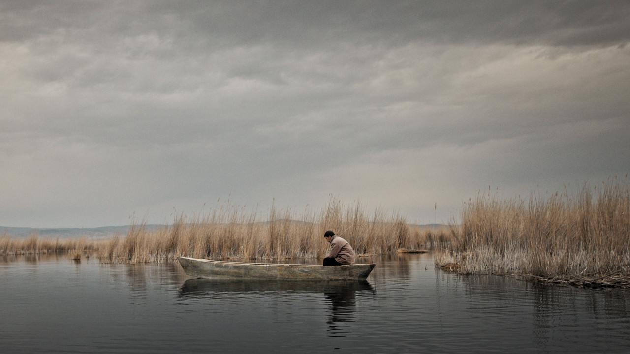 The Reeds Movie Screenshot 4