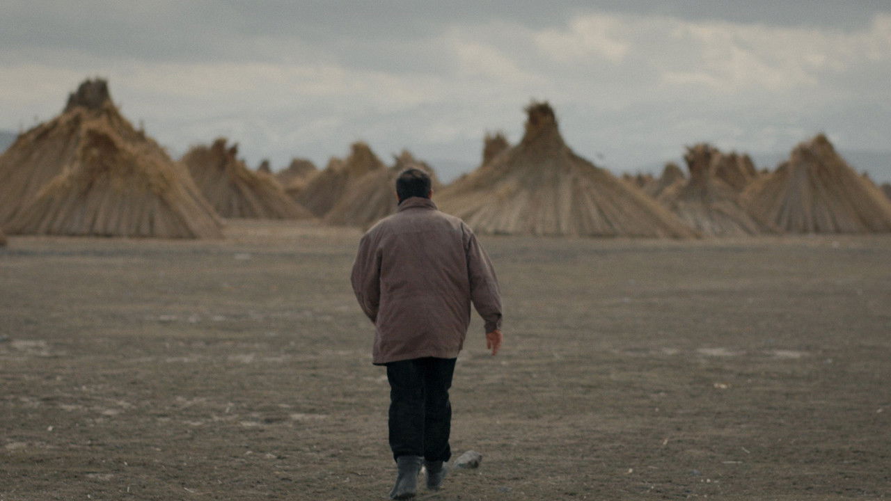 The Reeds Movie Screenshot 2