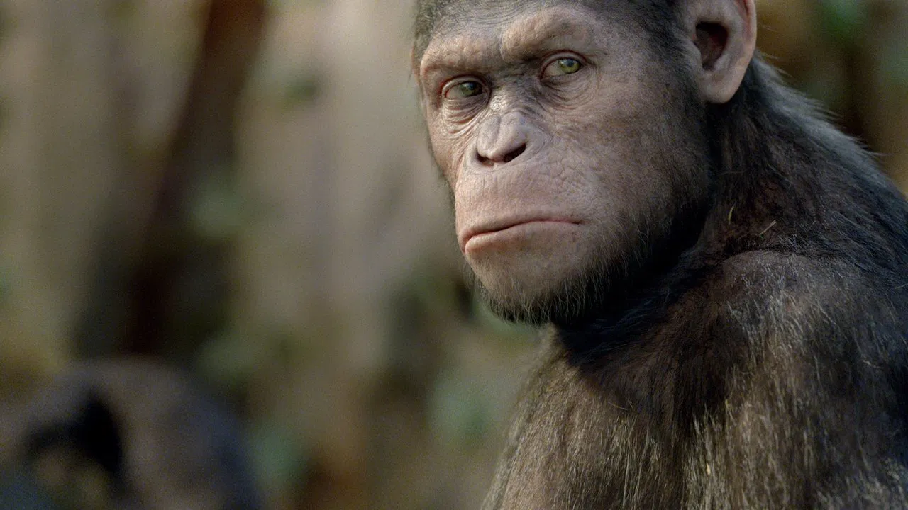Rise of the Planet of the Apes Movie Screenshot 2 Rise of the Planet of the Apes Movie Screenshot 2