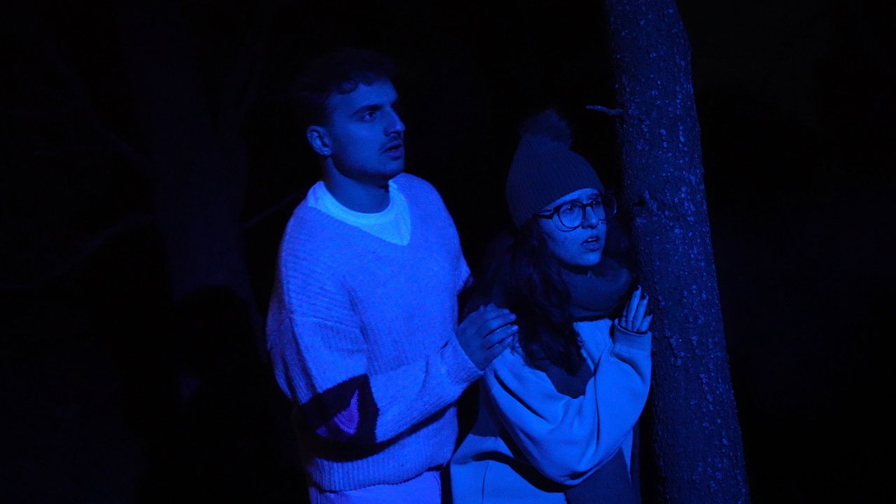 Trip Movie Screenshot 1