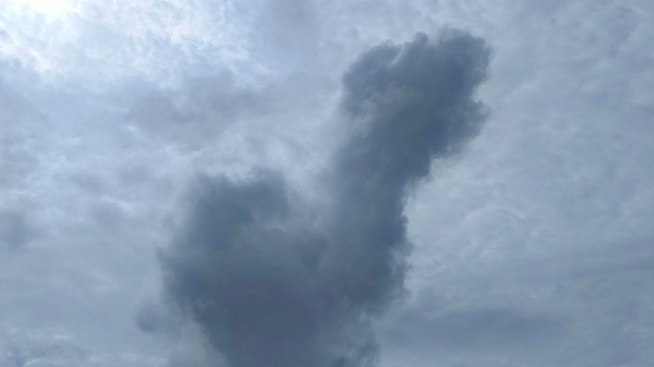 Passport To Myself : Where Can We Find Happiness? Movie Screenshot 2