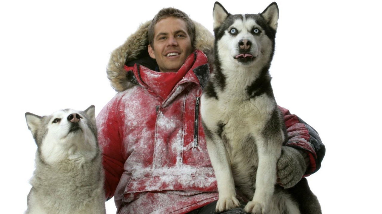 Eight Below Movie Screenshot 2