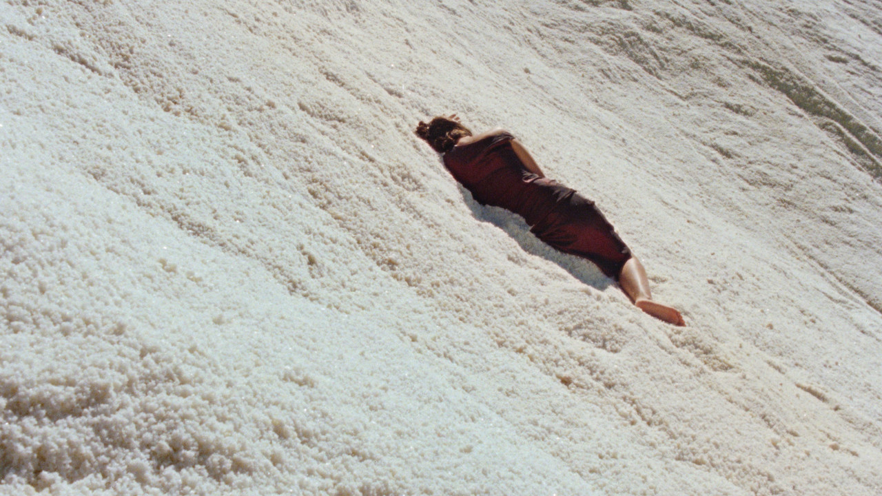 The Loneliness of Lizards Movie Screenshot 2