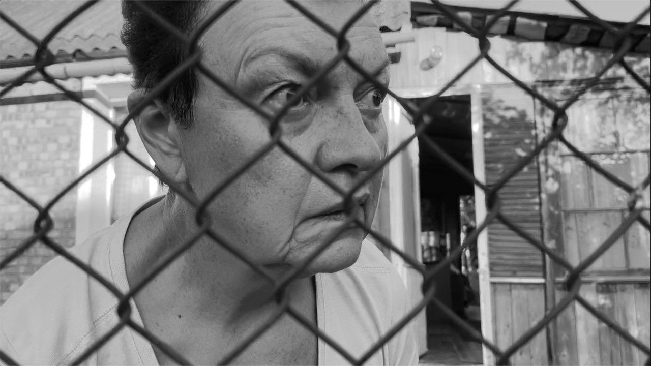 Fences Movie Screenshot 1