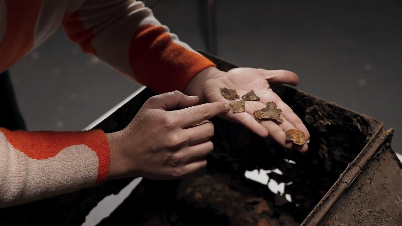 Unearthing. The Books We Didn