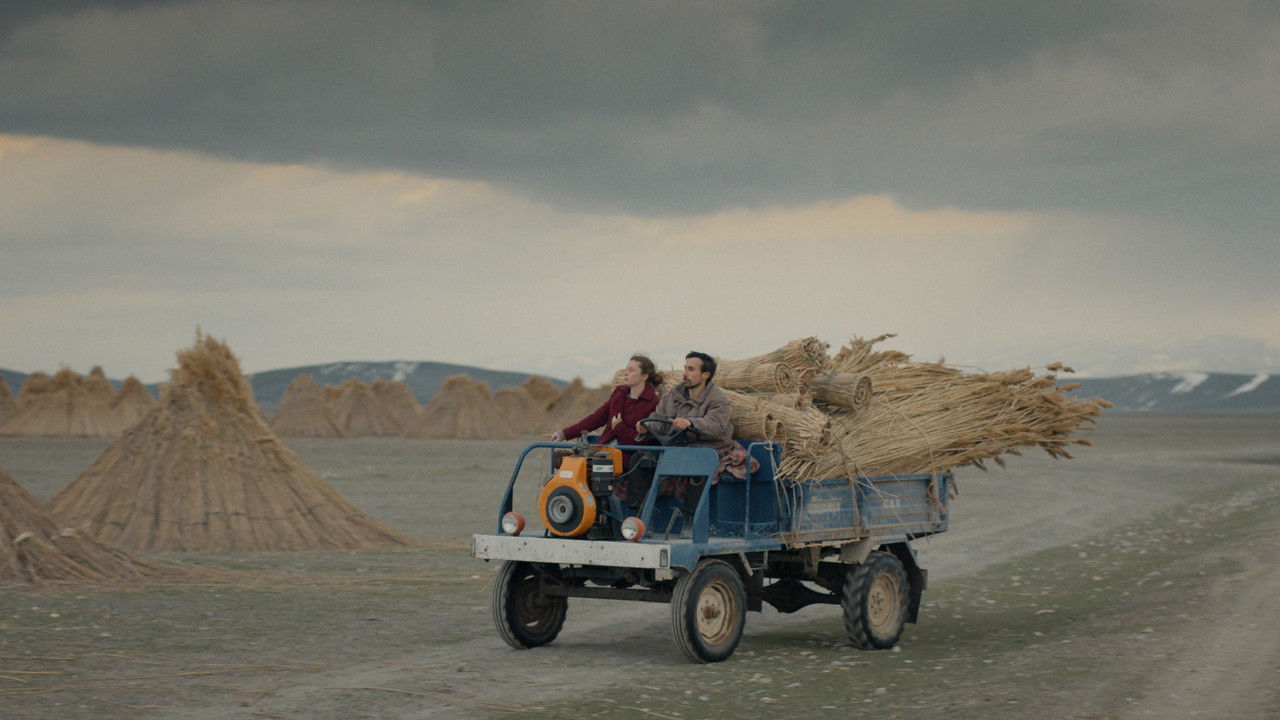 The Reeds Movie Screenshot 1