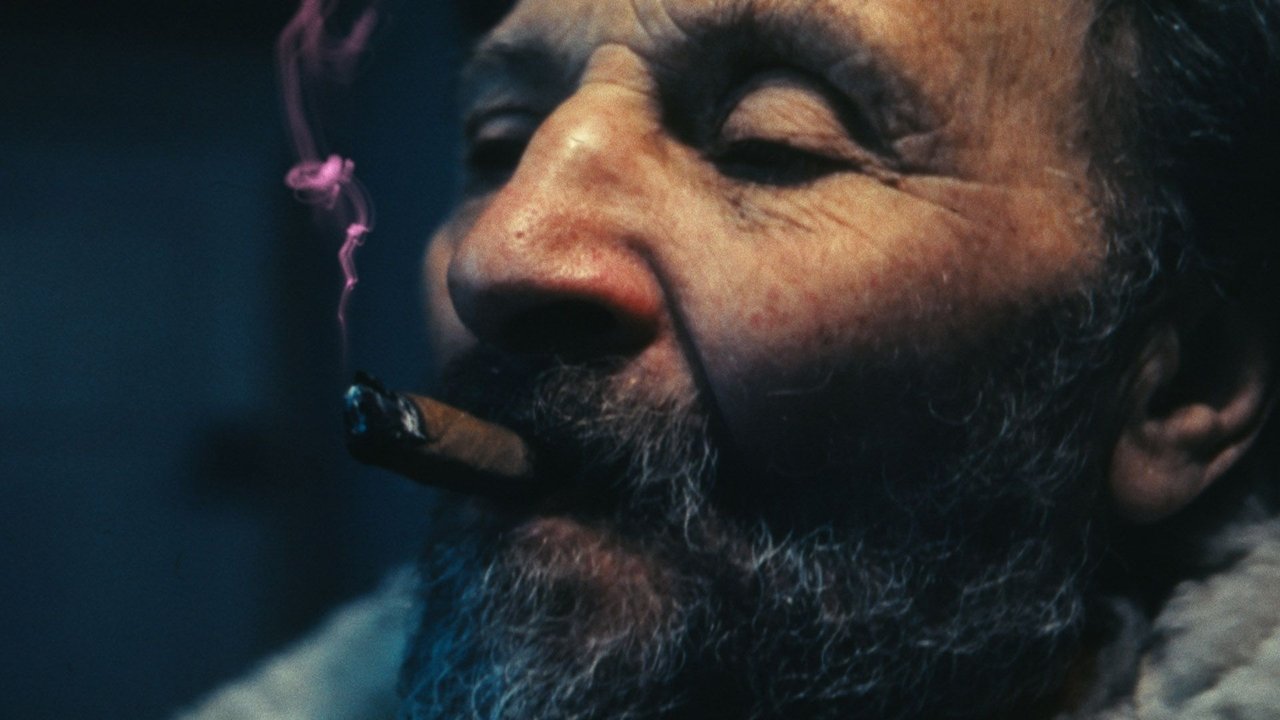 The Last Will Movie Screenshot 1