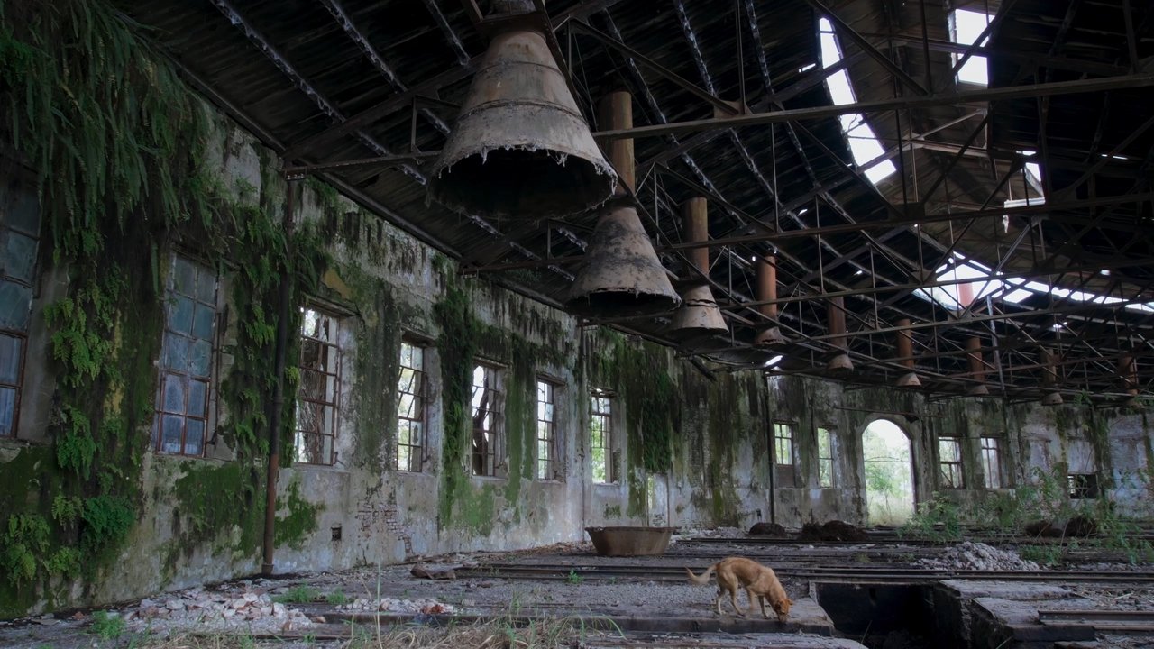 Unearthing. The Books We Didn