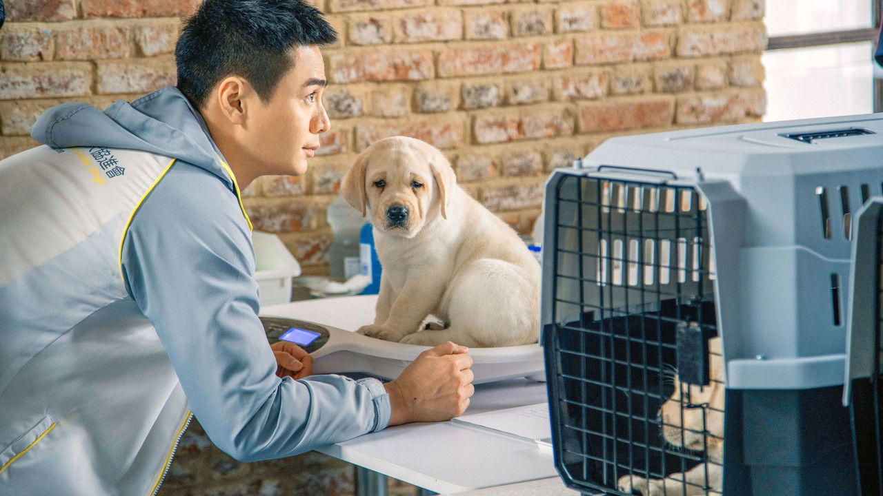 Little Q Movie Screenshot 3