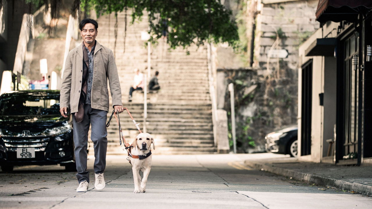 Little Q Movie Screenshot 4