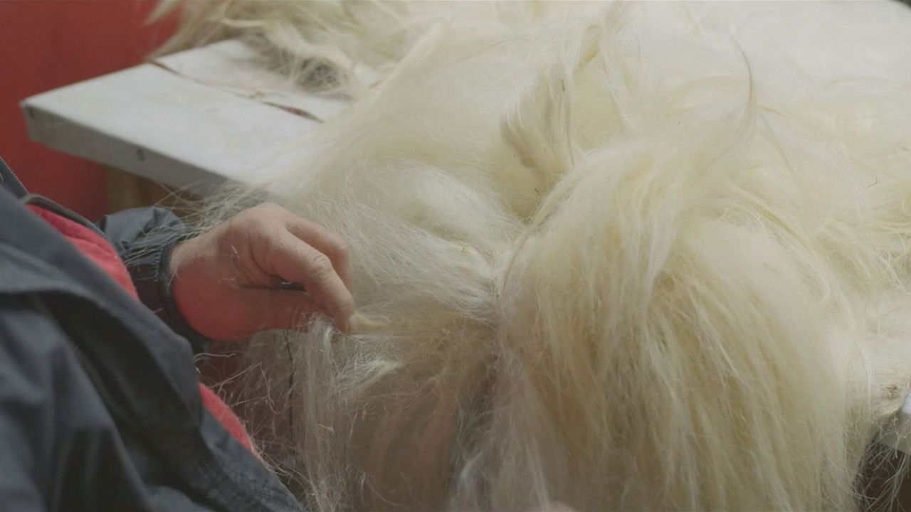 Under the Skins Movie Screenshot 1