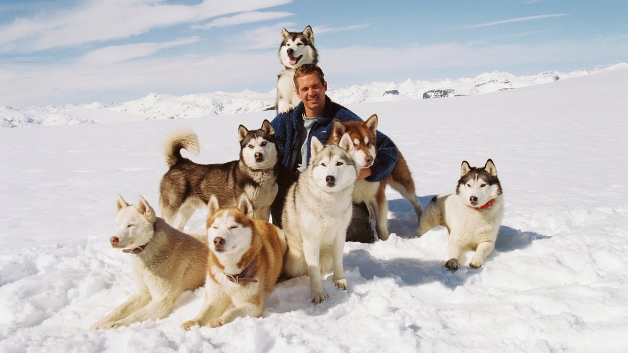 Eight Below Movie Screenshot 1