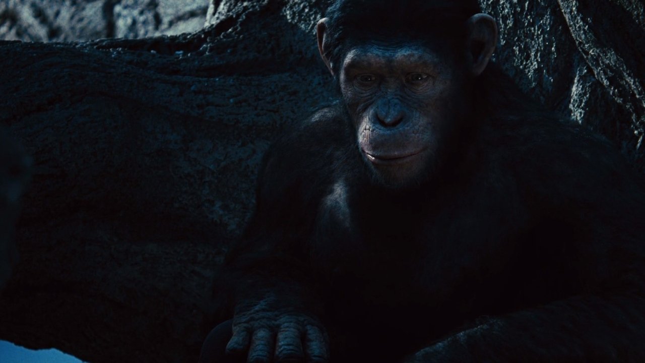 Rise of the Planet of the Apes Movie Screenshot 3 Rise of the Planet of the Apes Movie Screenshot 3