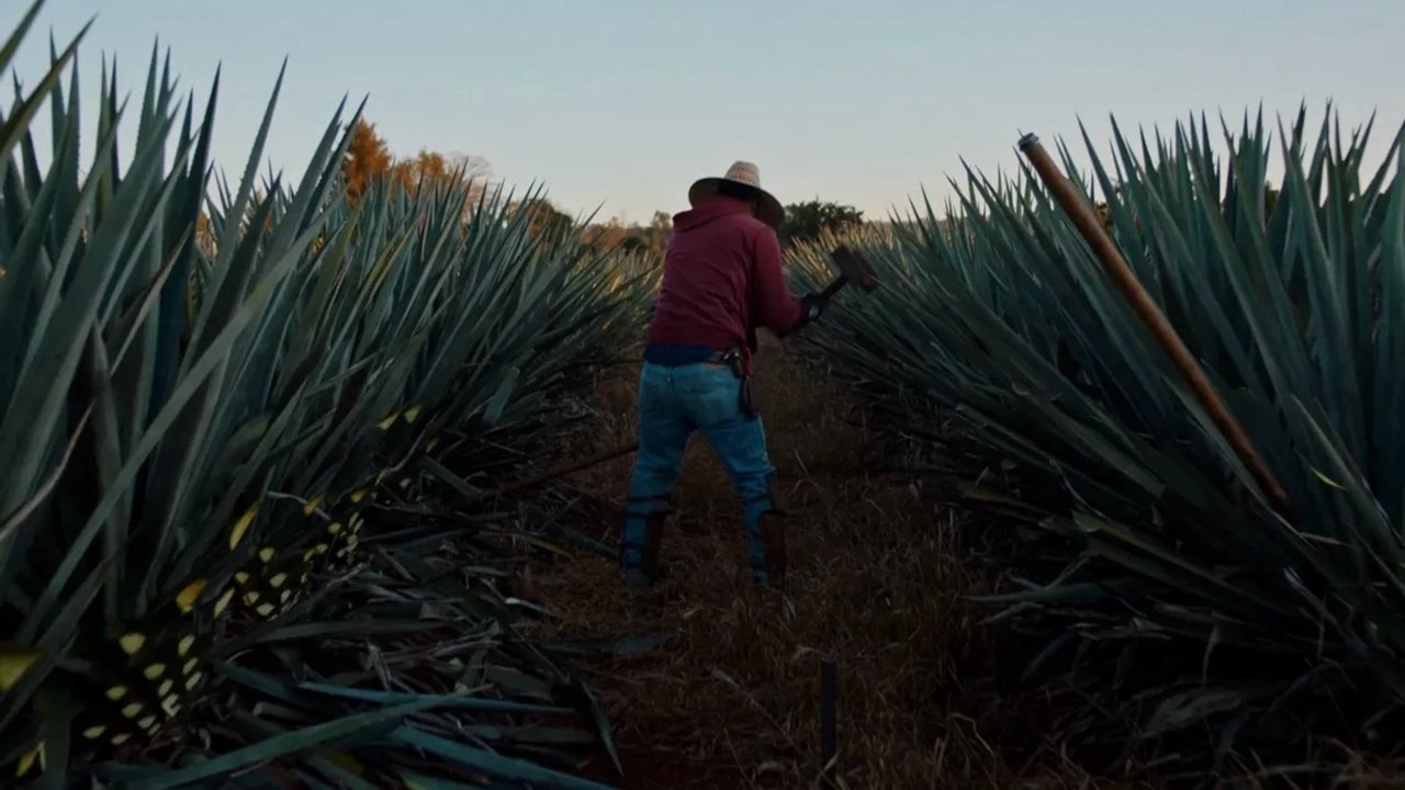 Dos Estaciones Movie Screenshot 1