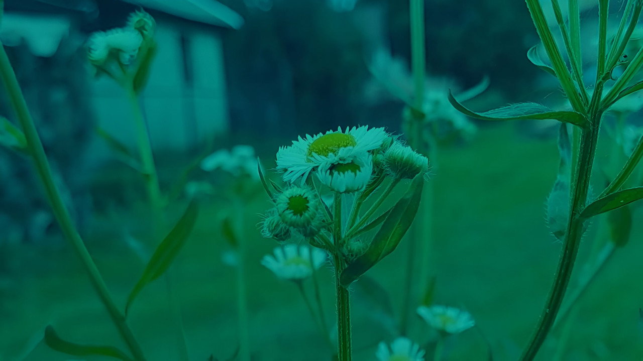 Life & Surviving Movie Screenshot 1