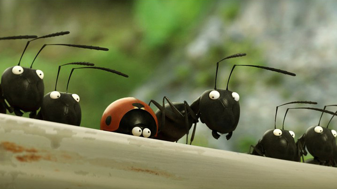 Minuscule: Valley of the Lost Ants Movie Screenshot 4