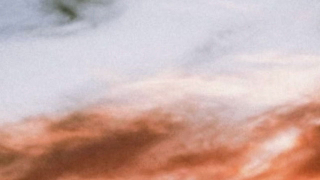 F Movie Screenshot 2