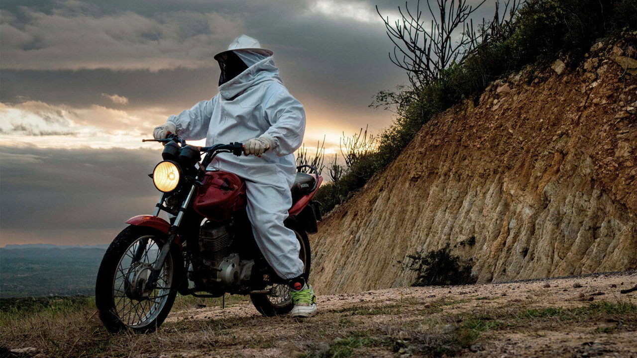 Yellow Cake Movie Screenshot 3