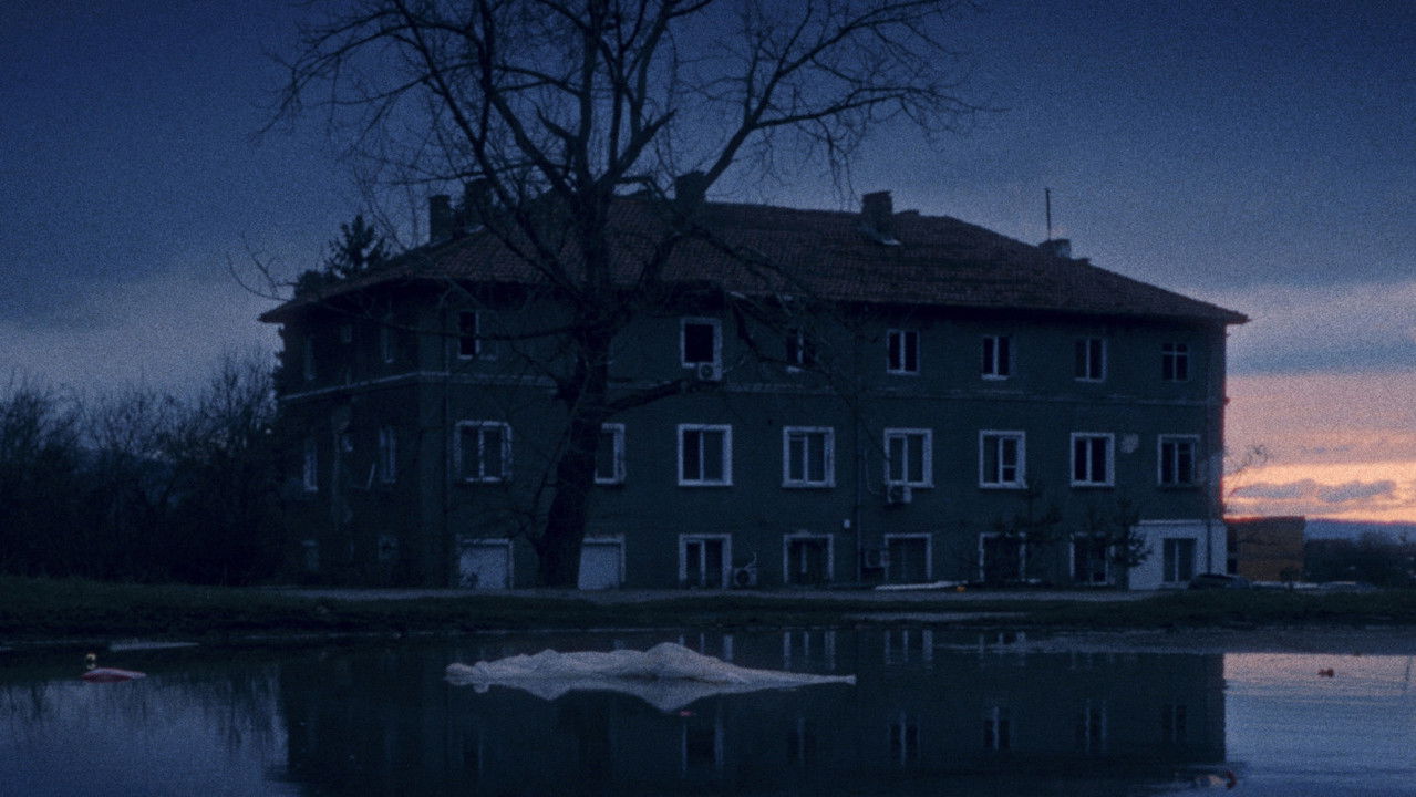 Windless Movie Screenshot 2