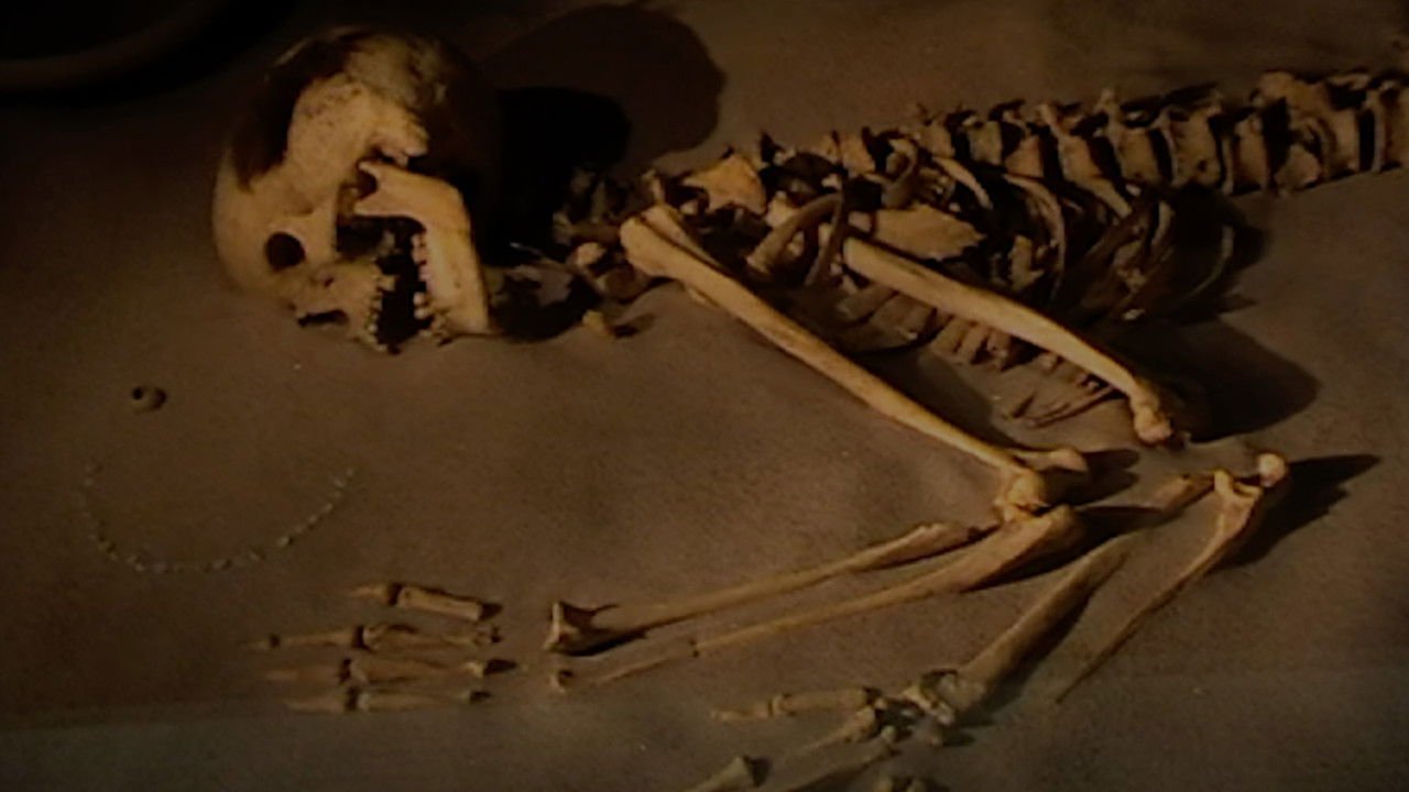 Are You Here, Anyte? Movie Screenshot 2