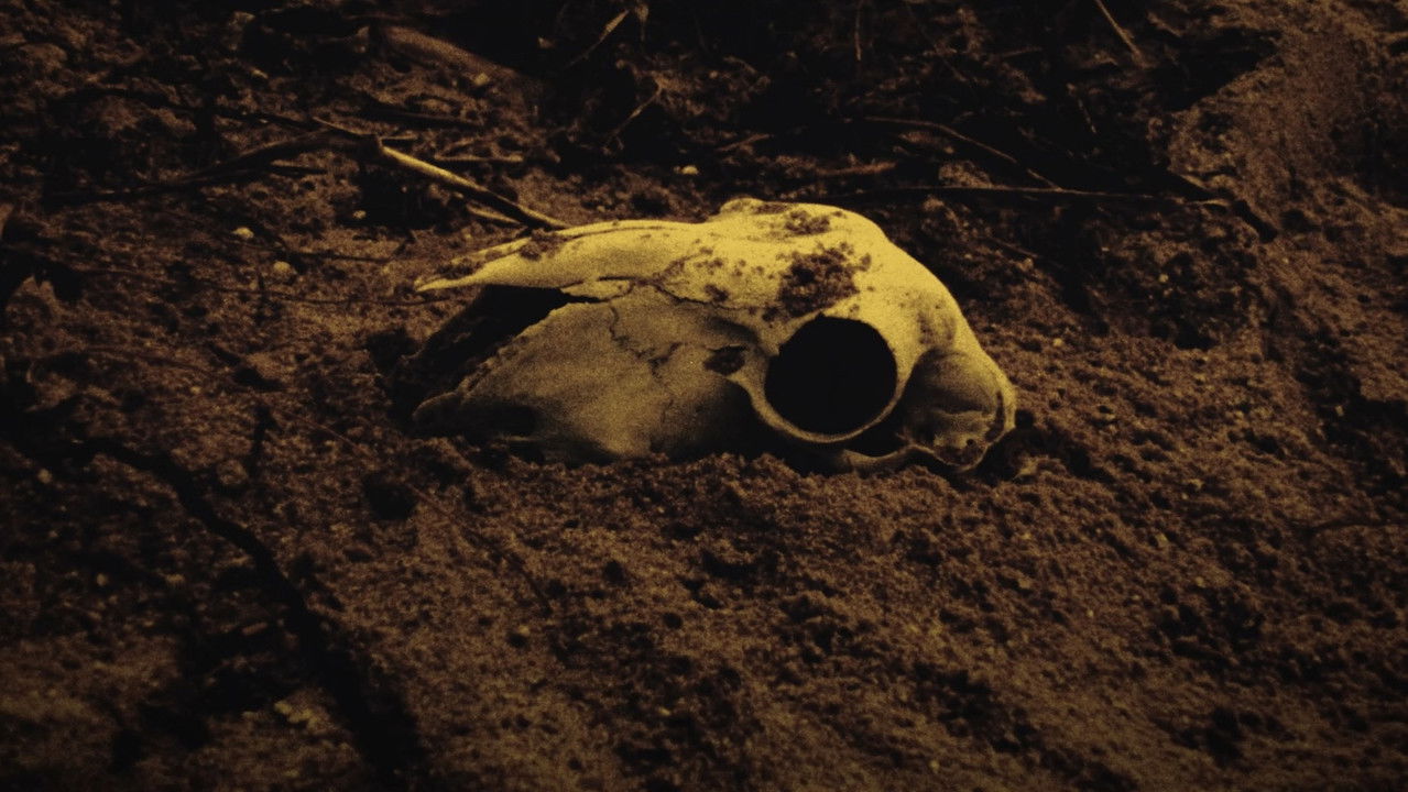 Paradiso Movie Screenshot 3