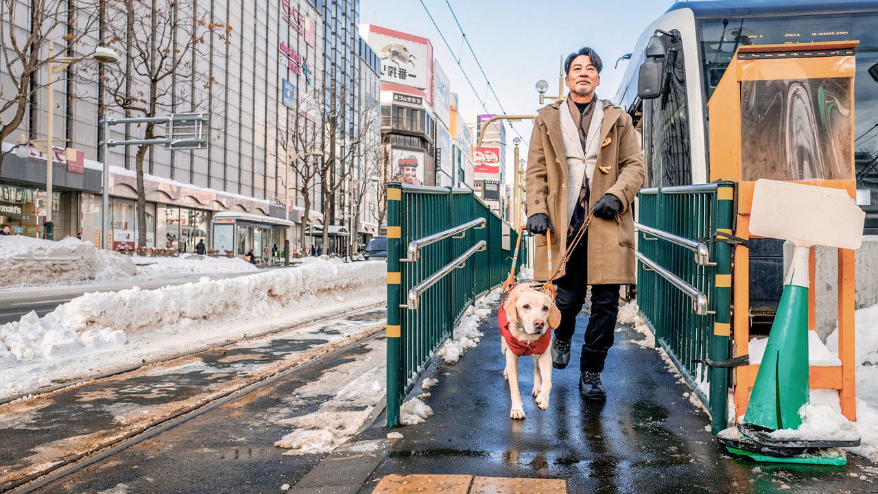 Little Q Movie Screenshot 1