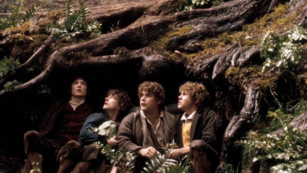 The Lord of the Rings: The Fellowship of the Ring Movie Screenshot 4